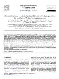 Image result for Trilepisium madagascariense