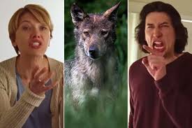 USDA Plays Scarlett Johansson and Adam Driver