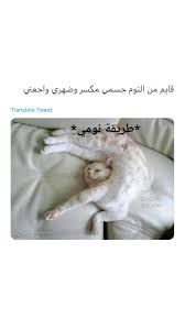 اكسبلور صور افتار افتارات رمزيات رمزيات بنات ستوريات سنابات صور بنات بنات اسئلة ستوري Funny Pictures Funny Memes