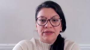 A congresswoman says climate activism doesn't stop at getting people elected