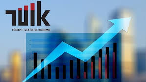 Türkiye'de geçen yıl ölüm sayısı bir önceki yıla göre yüzde 2.2 artarak 435 bin 941 oldu. Tuik Olum Ve Olum Nedeni Istatistikleri 2019 Medihaber Antalya Haberleri