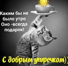 Открытки доброе утро с юмором - 74 фото