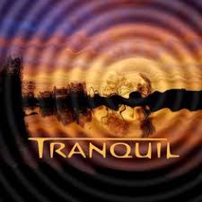 Image result for dischi trance anni 90 logo techno copertine