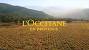 Loccitane Store