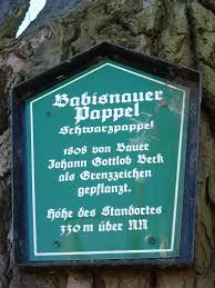 Babisnau ist ein ortsteil der sächsischen gemeinde kreischa im landkreis sächsische blick von babisnau auf das kreischaer becken, die sächsische schweiz im hintergrund (2017). 06 Wanderung Zur Babisnauer Pappel 1 Wanderungen