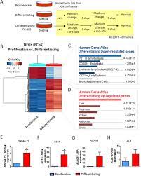 Este vorba despre sprijinul cuplat la bovinele. Genome Wide 5 Hydroxymethylcytosine 5hmc Emerges At Early Stage Of In Vitro Differentiation Of A Putative Hepatocyte Progenitor Scientific Reports