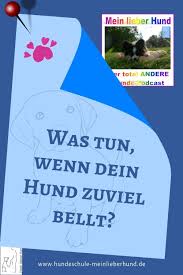 Warum Bellt Mein Hund So Viel Was Kann Man Tun Wenn Das Hundebell Einem Selbst Oder Anderen Auf Die Nerven Geht Hundegebe Welpen Erziehen Welpen Hundeschule