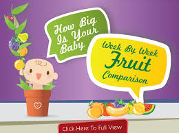 Baby Size Chart Week By Week Baby Size Week By Week Fruit Chart