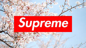 We have 73+ amazing background pictures carefully what is a desktop wallpaper? Supreme Pc Wallpapers Wallpaper Cave