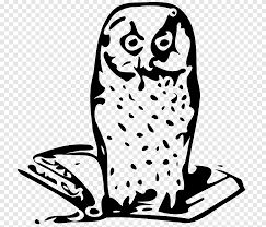 Gambar burung animasi hitam putih pickini via pickini.blogspot.com. Buku Burung Hantu Burung Hantu Kartun Hantu S Putih Bertulang Belakang Png Pngegg