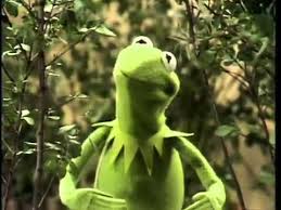 Kermit Der Frosch Es Is Nicht Einfach Gruen Zu Sein Youtube