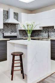 Frameless kitchen cabinets have a sleek and seamless appearance perfect for any modern or contemporary style kitchen. Bellevue European Style Minimal Frameless Kitchen Cabinets Abs Cabinets Counters Seattle Bellevue Lynnwood