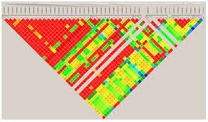 Genes | Free Full-Text | Variations in Fibrinogen-like 1 (FGL1) Gene Locus  as a Genetic Marker Related to Fat Deposition Based on Pig Model and Liver  RNA-Seq Data