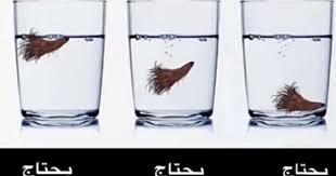 pin by hind on العناية بالشعر beauty recipes hair hair care oils skin care diy masks