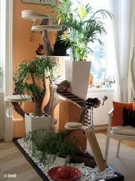 Einrichtungsideen Und Anregungen Fur Die Katzenwohnung Problemkatze Nathalie Aigner Katzenpsychologin Katzen Wohnungen Katzen Selbstgemachte Pluschtiere