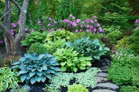 Pin By Blandyna Michalak On Gardening Shade Garden Design Shade Garden Plants Shade Garden