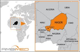Scheda Niger - Ambimed Group