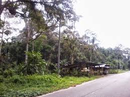 December 14, 2018december 14, 2018 by editorial department. Kampung Orang Asli Broga Sebahagian Besar Orang Asli Kampung Aring 5 Dan Kuala Koh Berikut Contoh Gambar Model Kandang Ayam Bangkok Kampung Petelur Pedaging Sebagai Inspirasi Anda Dalam Membuat