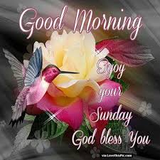 Good Morning Enjoy Your Sunday God Bless Sunday Morning Quotes Happy Sunday Morning Good Sunday Morning