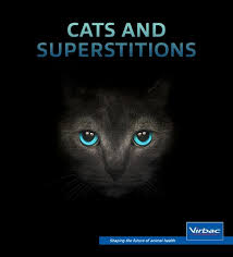Image result for driving superstitions images