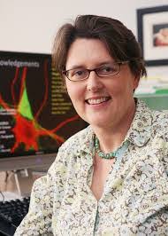 Kimberly Huber's Instagram, Twitter & Facebook