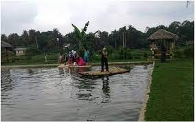 Taman Herbal Insani Kembali Ke Alam Dengan Riang Gembira Herbal Alam Taman