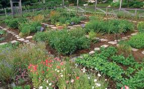 La belle & la graine vous propose une série de conseils verts adaptés à votre potager. Quelles Fleurs Ou Legumes Planter En Juin Ou Plus Tard Dans L Ete