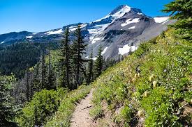 #1 of 3 specialty lodging in welches. 9 Top Attractions Things To Do In Mt Hood National Forest Or Planetware