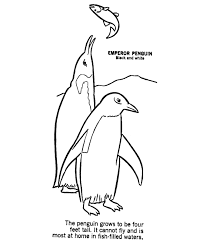 Free 10 arctic animal printable coloring pages download. Antarctic Animals Coloring Pages Coloring Home