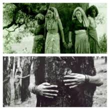 The first chipko movement in independent india took place in april 1973 in the upper. Today Is Chipko Movement Badalti Fiza