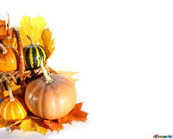 See pumpkin background stock video clips. Pumpkin With Leaves Isolated Image White Background With Pumpkins Isolated Images Leaves 35298 Torange Biz Free Pics On Cc By License