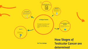 However, this cancer can spread. Testicular Cancer Stages By Tracy Weeks Gariepy