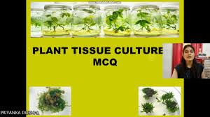 Animal cell and tissue culture mcqs. Plant Tissue Culture Mcq Part 3 Youtube
