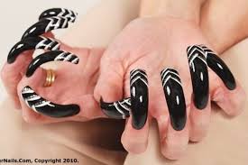 Too Long For Me But I Love Design N Curve Curved Nails Dream Nails Long Nail Designs