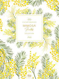 Mimosa Flowers Wreaths Frames Clip Art Yellow Watercolor Etsy Mimosa Flower Frame Clipart Frame Wreath