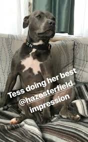 Pin By Demi Kriketos On Tessa Holland Tom Holland Girlfriend Tom Holland Spiderman Tom Holland Peter Parker