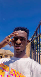 TikTok Challenge Participation and Opinions