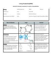 We did not find results for: Building Dna Docx Name Date Student Exploration Building Dna Vocabulary Double Helix Dna Enzyme Mutation Nitrogenous Base Nucleoside Nucleotide Course Hero