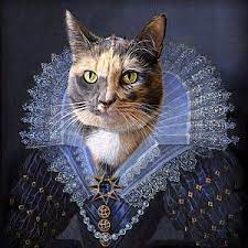 We did not find results for: Bia De Medici Custom Pet Portrait Digital Etsy Cat Portraits Custom Cat Portrait Pet Portraits