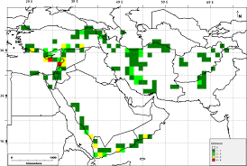 Image result for Euphorbia polycnemoides