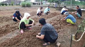 • ringkasan akta orang kurang upaya. Desa Bina Diri Pulihkan Golongan Gelandangan Utusan Borneo Online