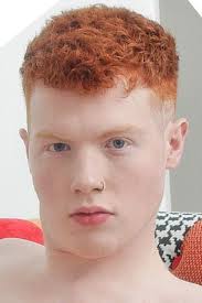 Jasper Rhodes — The Movie Database (TMDB)