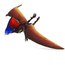 Image result for Dinophora