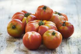 what are determinate and indeterminate tomatoes