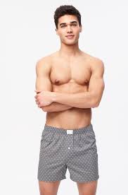 Boxer Briefs For Men Guys Aeropostale