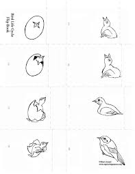 Life Cycle Flip Books New And Improved Flip Book Animation Flip Books Art Flip Book