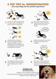 Stop Dog Jumping And Emotional Support Dog Check The Image For Various Dog Training Tips For Jumping 8458229097 Dog Training Puppy Training Puppy Classes