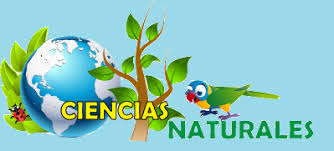 Resumen de ciencias naturales grado quinto