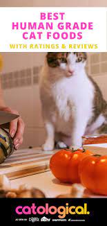 Want To Make Sure Your Cat Is Only Getting The Very Best Ingredients In Her Cat Food Buying A Human Grade Cat Food Cat Nutrition Cat Food Human Food For Cats