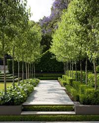 Pinterest Garden Love Rebecca Hedges Boxwood Beautiful Gardens Pinterest Formal Garden Design Australian Garden French Garden